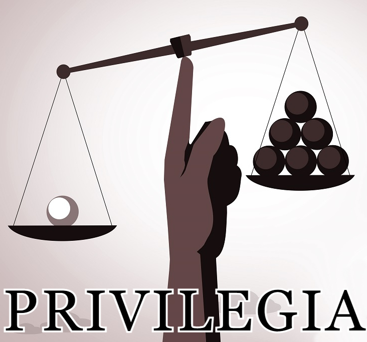 PRIVILEGIA - Desigualdades, privilegios y justicia global. Pautas normativas para una sociedad inclusiva