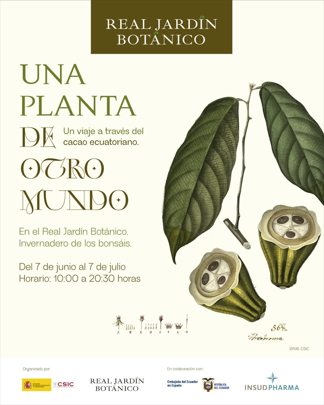 El Real Jardín Botánico del CSIC presenta la exposición "Una planta de otro mundo" sobre el cacao ecuatoriano, con el asesoramiento del Instituto de Historia El Real Jardín Botánico del CSIC presenta la exposición "Una planta de otro mundo" sobre el cacao ecuatoriano, con el asesoramiento del Instituto de Historia