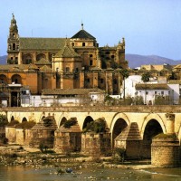Creado un nuevo “Roman Islam Center” en la Universidad de Hamburgo con la colaboración del CSIC