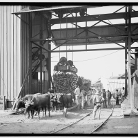 Commodities of Empire