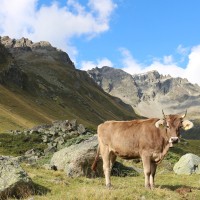 Un estudio arqueológico muestra cómo los seres humanos han transformado la Tierra en los últimos diez mil años