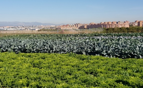  Parque Agrario de Fuenlabrada 