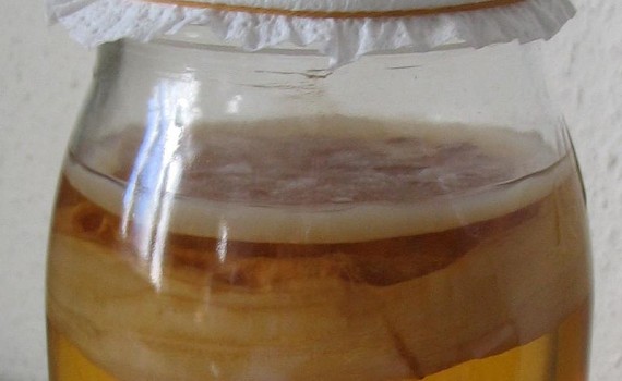 El proyecto Atlas de fermentación salvaje del CSIC, seleccionado por la Fundación Daniel y Nina Carasso para imaginar futuros sostenibles