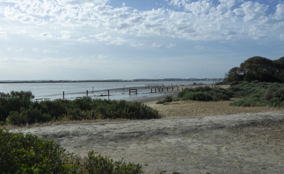 La ciudad de Tartessos pudo estar cerca de la actual desembocadura del río Guadalquivir, en lo que es hoy Doñana 