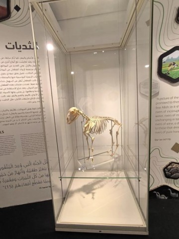 La exposición "Los Paisajes Culturales de Al-Andalus" organizada por FUNCI (Fundación de Cultura Islámica) se inauguró el dia 15 de octubre de 2025 en el museo de la Civilización Islámica de Sharjah, en los Emiratos Árabes. Foto @arqbio_csic (IG)