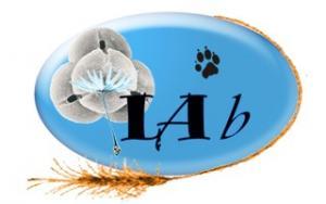 Logo laboratorio