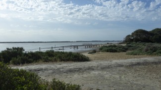 La ciudad de Tartessos pudo estar cerca de la actual desembocadura del río Guadalquivir, en lo que es hoy Doñana La ciudad de Tartessos pudo estar cerca de la actual desembocadura del río Guadalquivir, en lo que es hoy Doñana