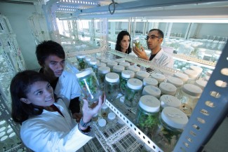 Un estudio del CSIC señala una reducción de la brecha de género en la evaluación de la financiación en ciencia Un estudio del CSIC señala una reducción de la brecha de género en la evaluación de la financiación en ciencia