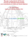 Cartel de la charla-coloquio Charla-coloquio: "Sinergia y extrapolación del binomio (Ciencia de Materiales/Arqueometría) en el conocimiento de vidrios de interés histórico"