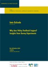 Cartel del seminario CIP Seminario CIP: "Why does Policy Feedback happen? Insights from Survey Experiments"