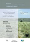 Cartel de la mesa redonda Mesa Redonda: «Investigaciones Históricas hispano-rusas. CSIC-Academia de Ciencias»