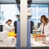 Conferencia "De Marie Curie a la igualdad: las mujeres y las ciencias"