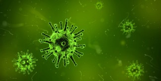 La pandemia de gripe de 1918 causó en Madrid más de 6.500 muertes en exceso a la mortalidad normal La pandemia de gripe de 1918 causó en Madrid más de 6.500 muertes en exceso a la mortalidad normal