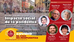Cartel del seminario Webinar "Impacto social de la pandemia"